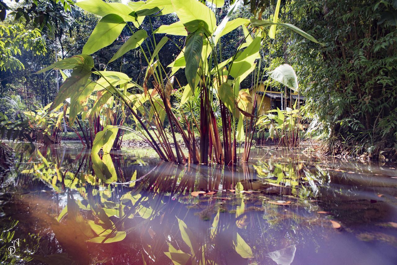 Garden Of Joy Hotell Koh Chang Exteriör bild